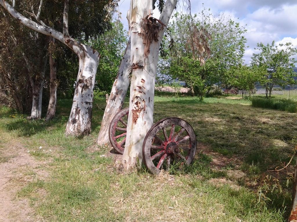 Agriturismo Spinalva Perfugas Buitenkant foto